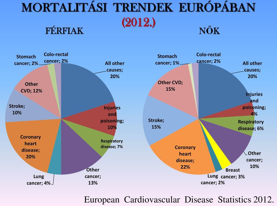 Other cancer; 13% All other causes; 20% Injuries and poisoning; 10% Respiratory disease; 7% Stomach cancer; 1% Stroke; 15% Other