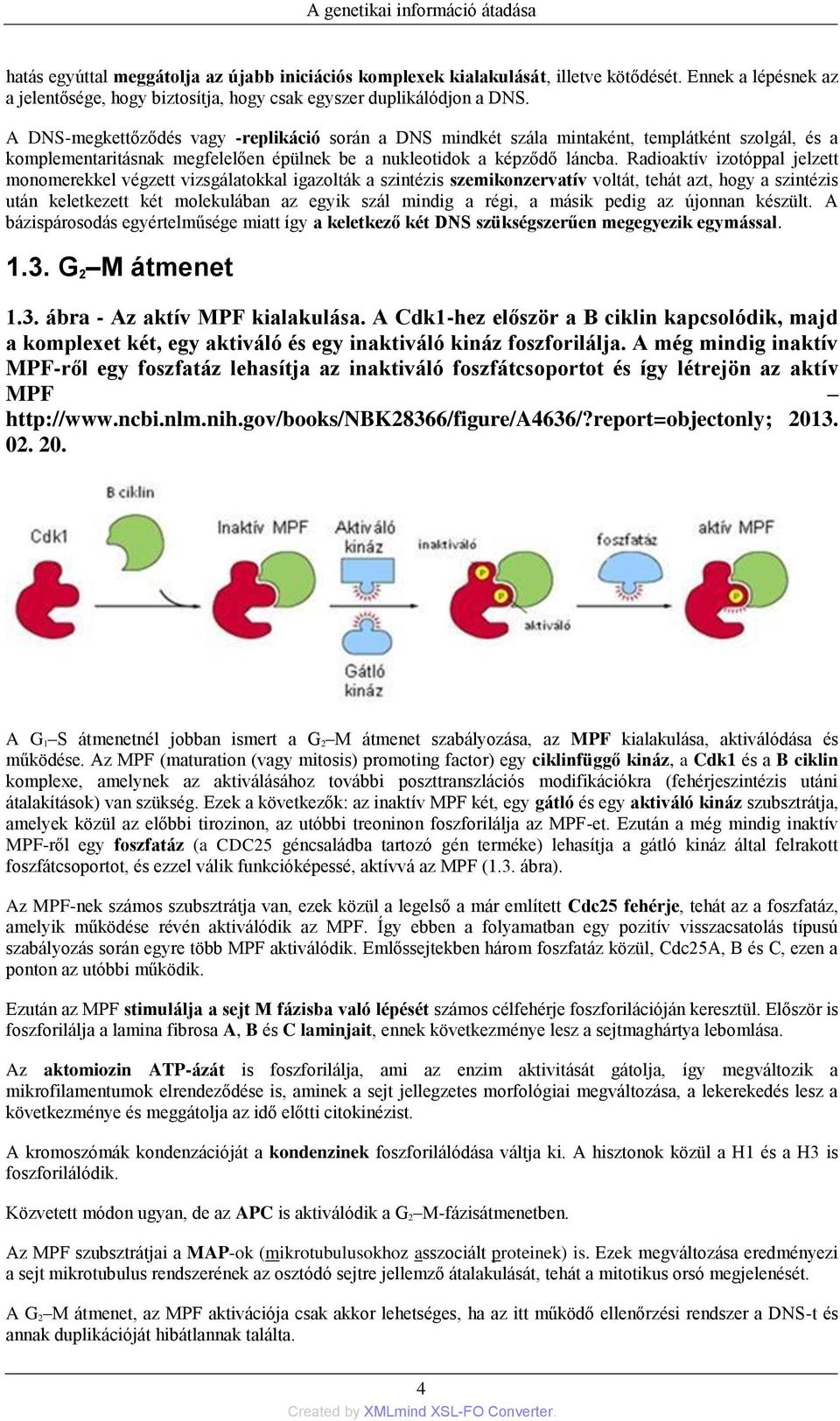 A DNS-megkettőződés vagy -replikáció során a DNS mindkét szála mintaként, templátként szolgál, és a komplementaritásnak megfelelően épülnek be a nukleotidok a képződő láncba.