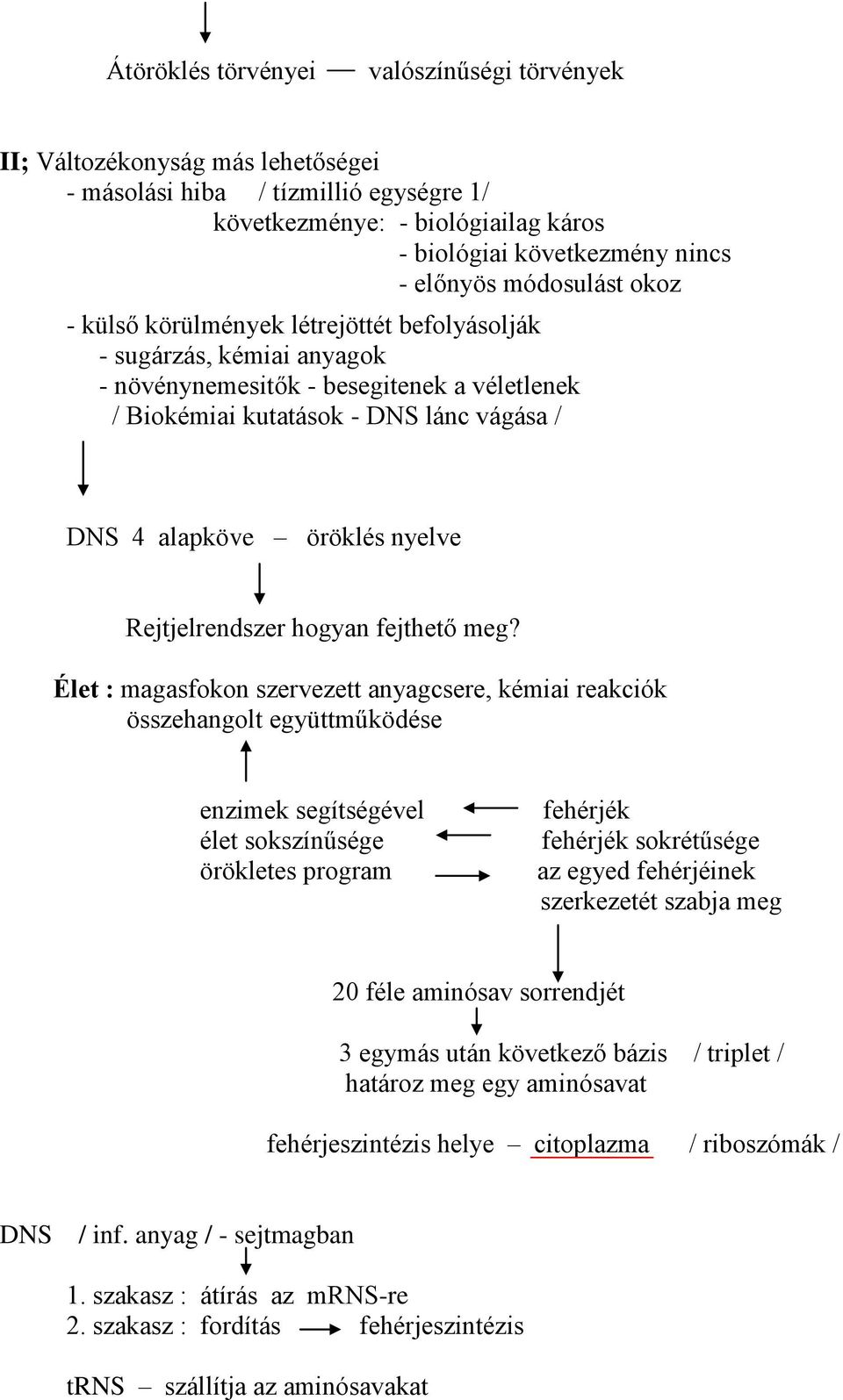 nyelve Rejtjelrendszer hogyan fejthető meg?