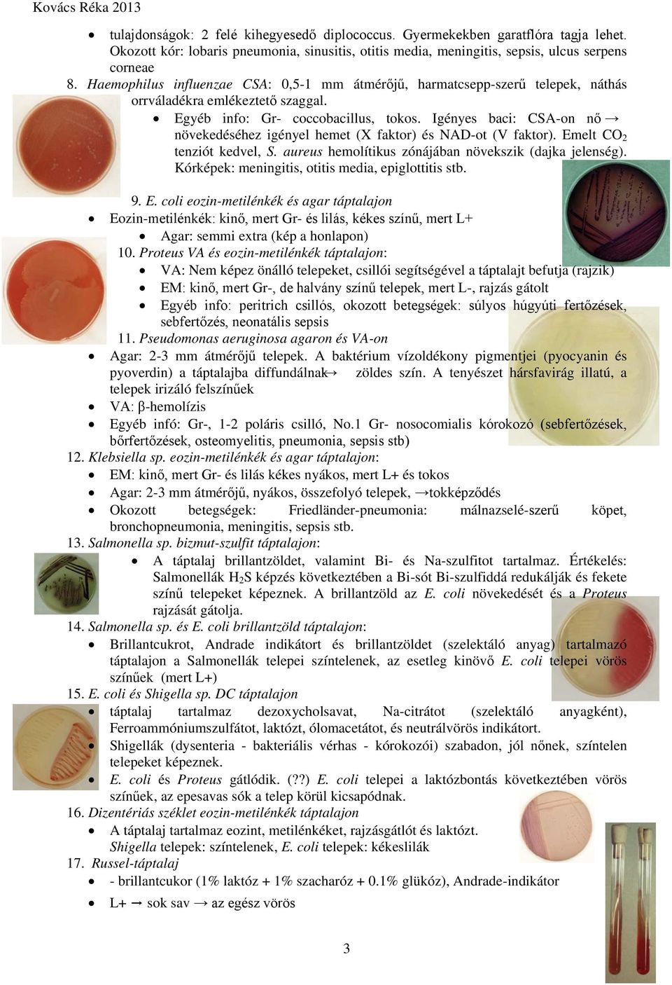 Igényes baci: CSA-on nő növekedéséhez igényel hemet (X faktor) és NAD-ot (V faktor). Emelt CO 2 tenziót kedvel, S. aureus hemolítikus zónájában növekszik (dajka jelenség).