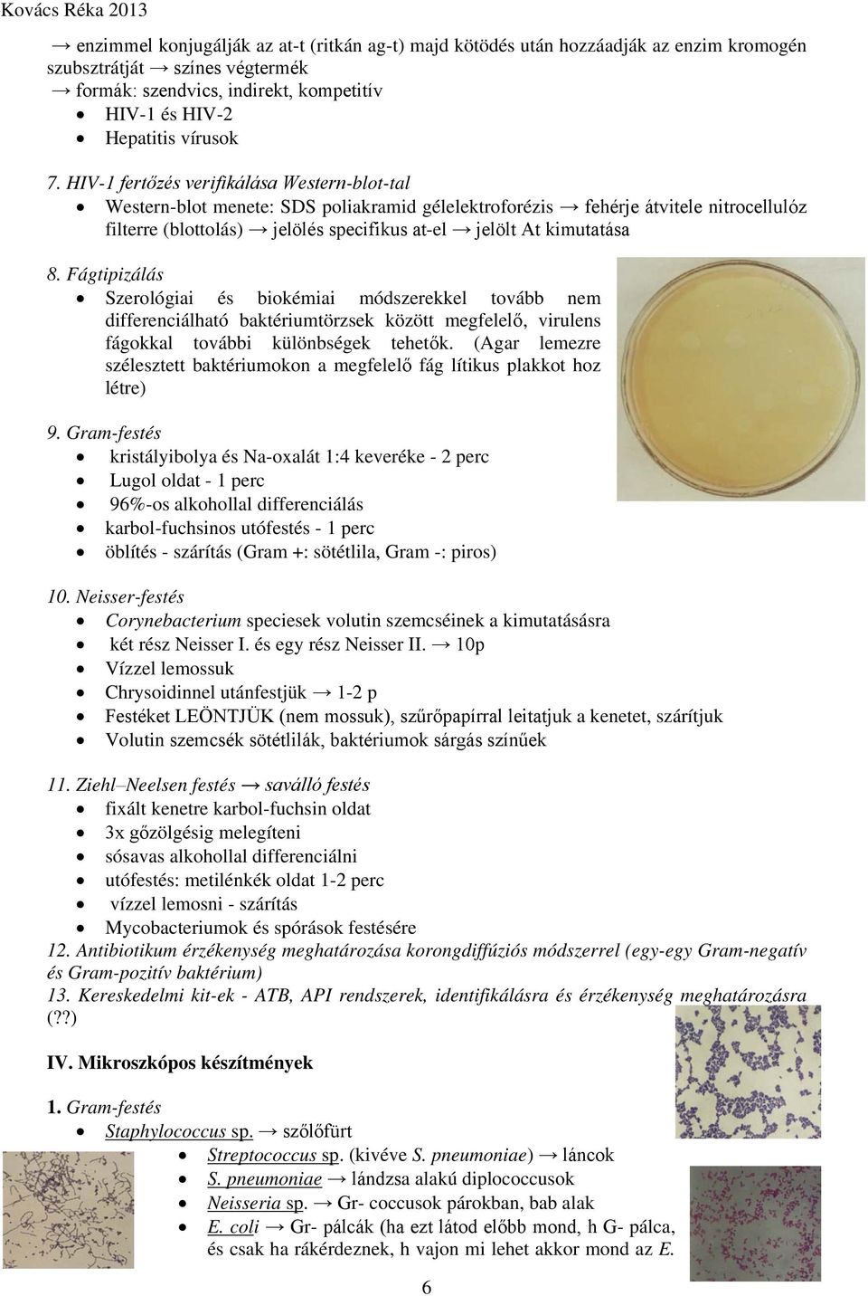 Fágtipizálás Szerológiai és biokémiai módszerekkel tovább nem differenciálható baktériumtörzsek között megfelelő, virulens fágokkal további különbségek tehetők.