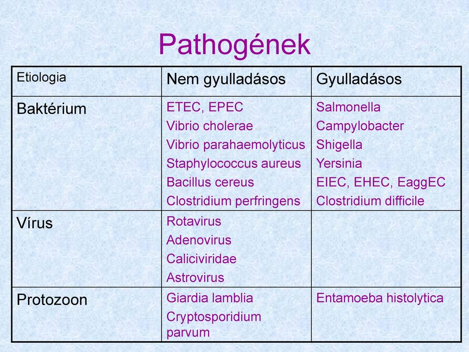 Rotavirus Adenovirus Caliciviridae Astrovirus Giardia lamblia Cryptosporidium parvum