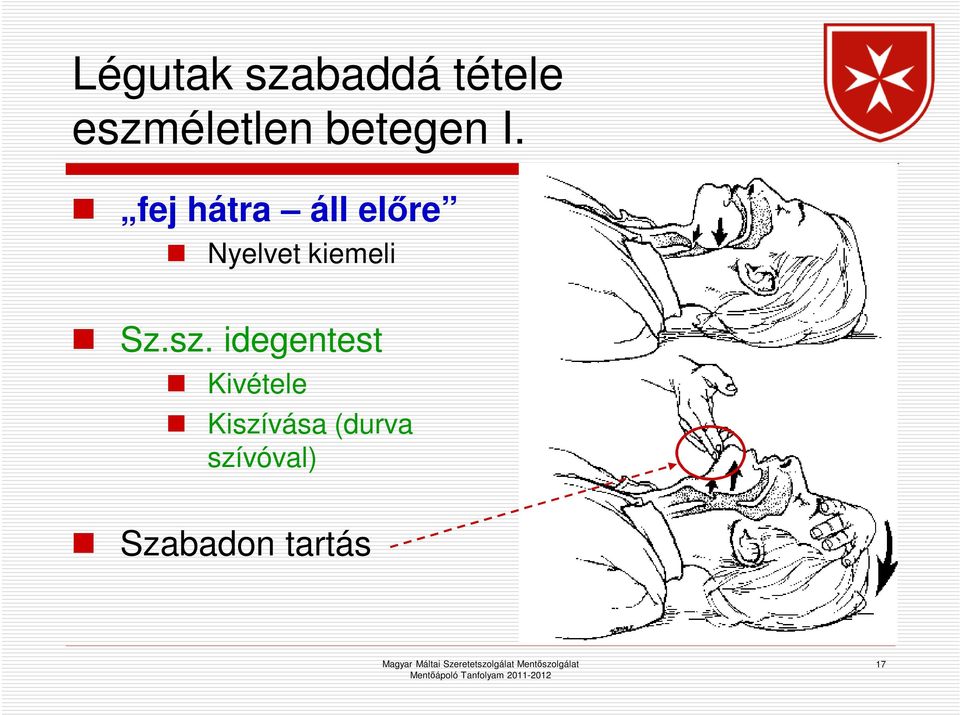 fej hátra áll előre Nyelvet kiemeli Sz.