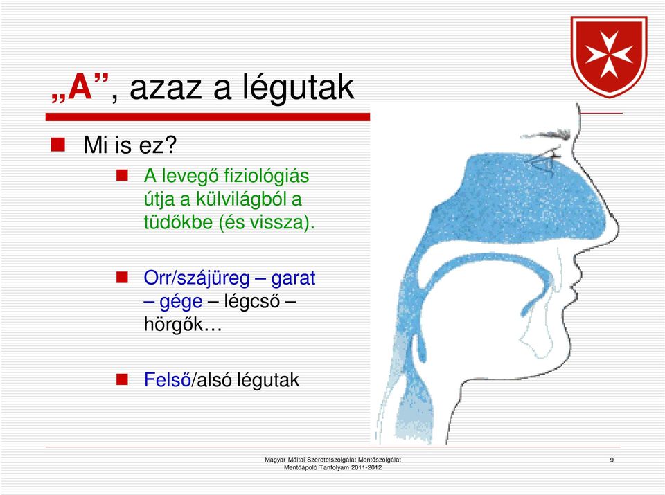 külvilágból a tüdőkbe (és vissza).