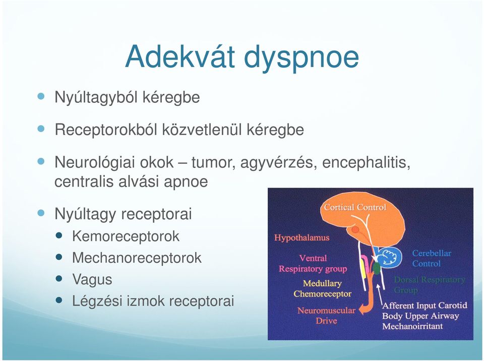 encephalitis, centralis alvási apnoe Nyúltagy receptorai