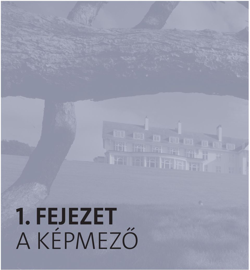 KÉPMEZŐ