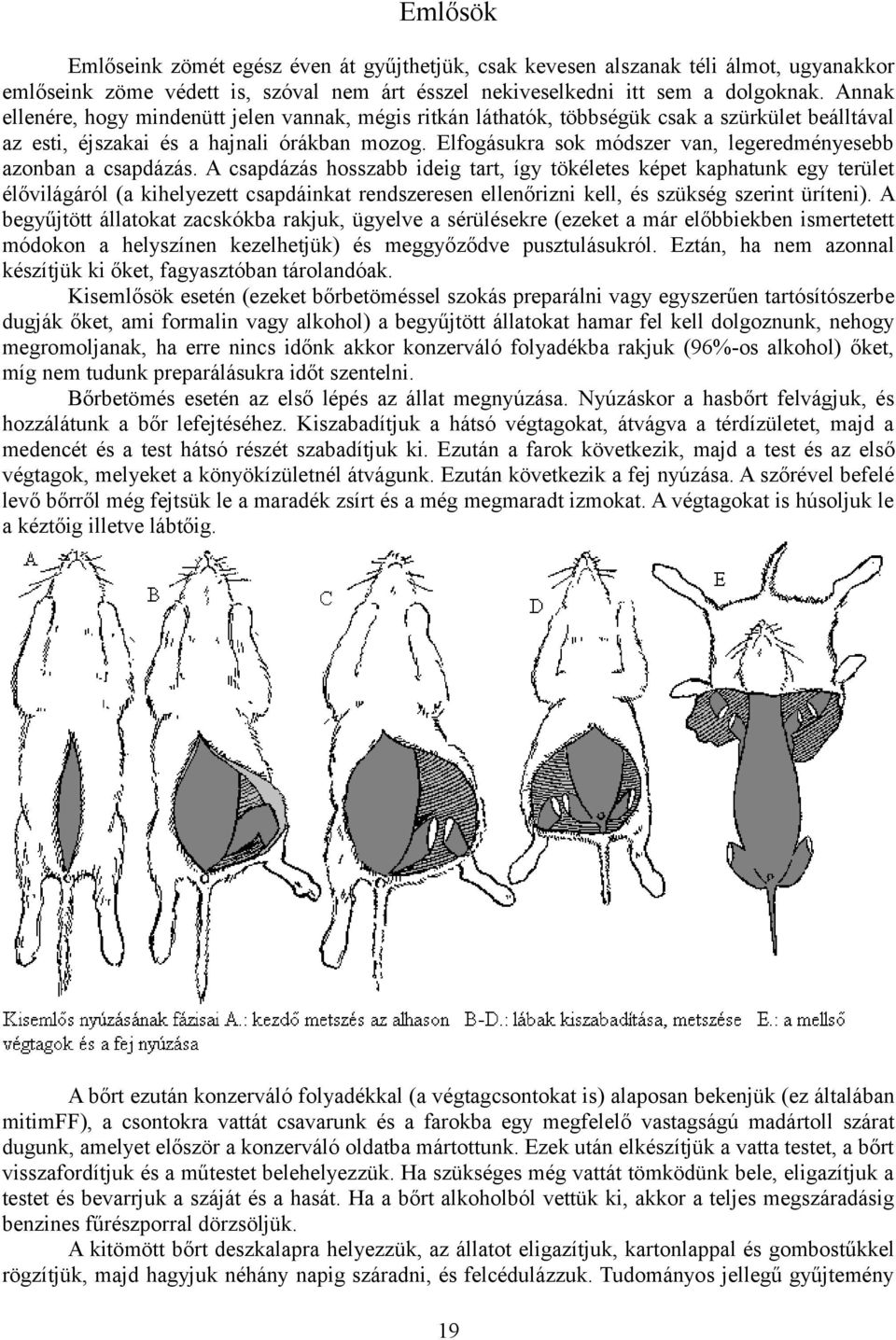 Elfogásukra sok módszer van, legeredményesebb azonban a csapdázás.