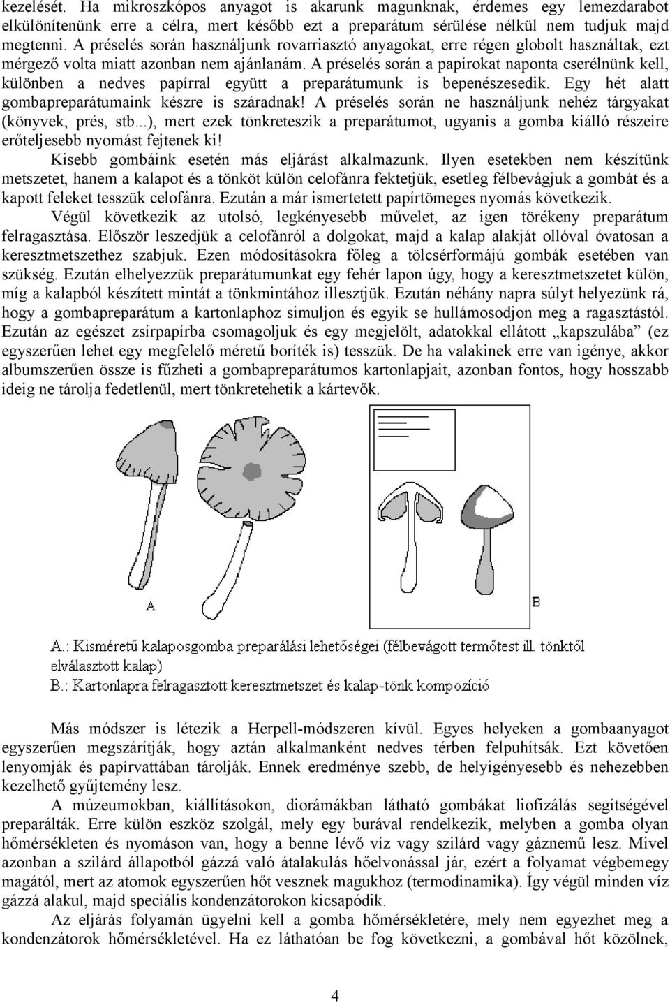 A préselés során a papírokat naponta cserélnünk kell, különben a nedves papírral együtt a preparátumunk is bepenészesedik. Egy hét alatt gombapreparátumaink készre is száradnak!