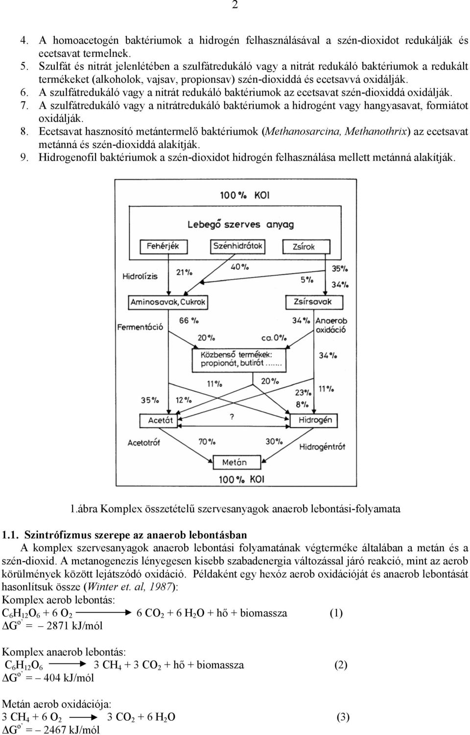 A szulfátredukáló vagy a nitrát redukáló baktériumok az ecetsavat szén-dioxiddá oxidálják. 7. A szulfátredukáló vagy a nitrátredukáló baktériumok a hidrogént vagy hangyasavat, formiátot oxidálják. 8.