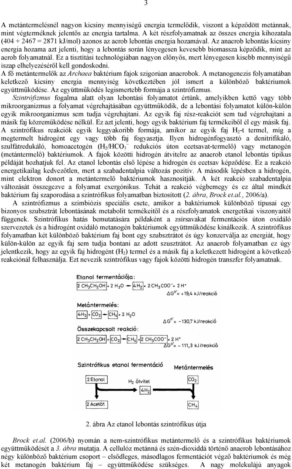 Az anaerob lebontás kicsiny energia hozama azt jelenti, hogy a lebontás során lényegesen kevesebb biomassza képződik, mint az aerob folyamatnál.