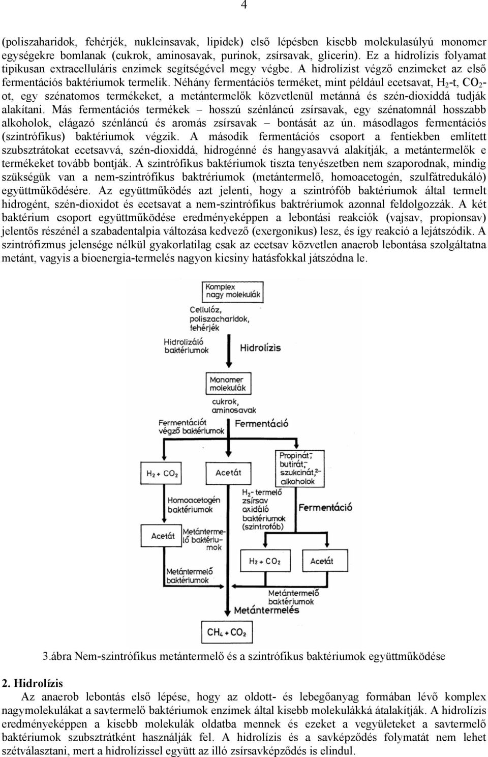 Néhány fermentációs terméket, mint például ecetsavat, H 2 -t, CO 2 - ot, egy szénatomos termékeket, a metántermelők közvetlenül metánná és szén-dioxiddá tudják alakítani.