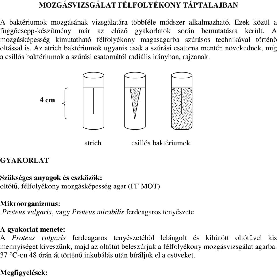 Az atrich baktériumok ugyanis csak a szúrási csatorna mentén növekednek, míg a csillós baktériumok a szúrási csatornától radiális irányban, rajzanak.