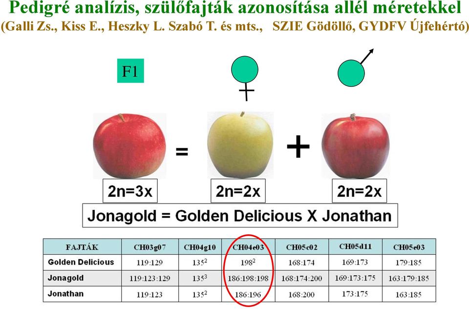 Zs., Kiss E., Heszky L. Szabó T.