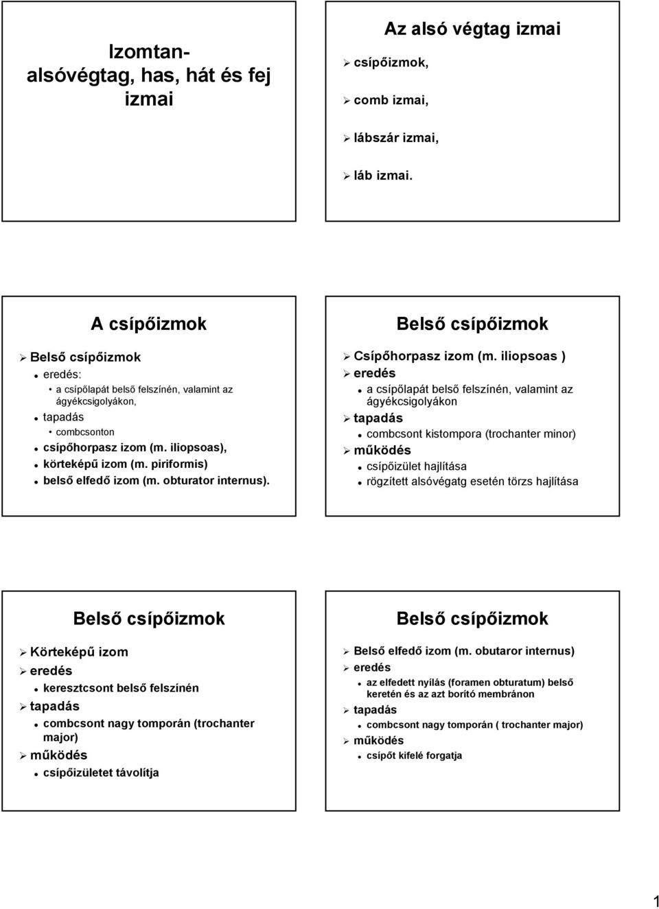 piriformis) belső elfedő izom (m. obturator internus). Belső csípőizmok Csípőhorpasz izom (m.