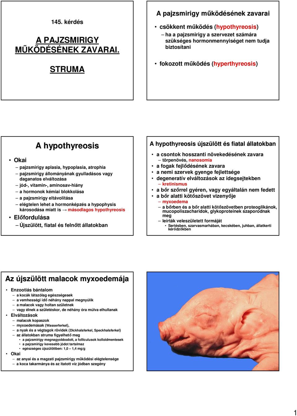 hypothyreosis Okai pajzsmirigy aplasia, hypoplasia, atrophia pajzsmirigy állományának gyulladásos vagy daganatos elváltozása jód-, vitamin-, aminosav-hiány a hormonok kémiai blokkolása a pajzsmirigy