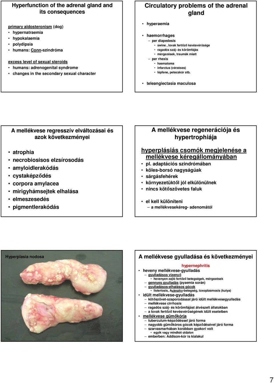 mérgezések, traumák miatt per rhexis haematoma infarctus (vérzéses) lépfene, petecskór stb.