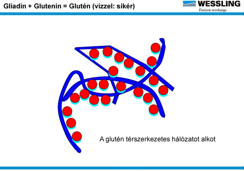 sikér) A glutén