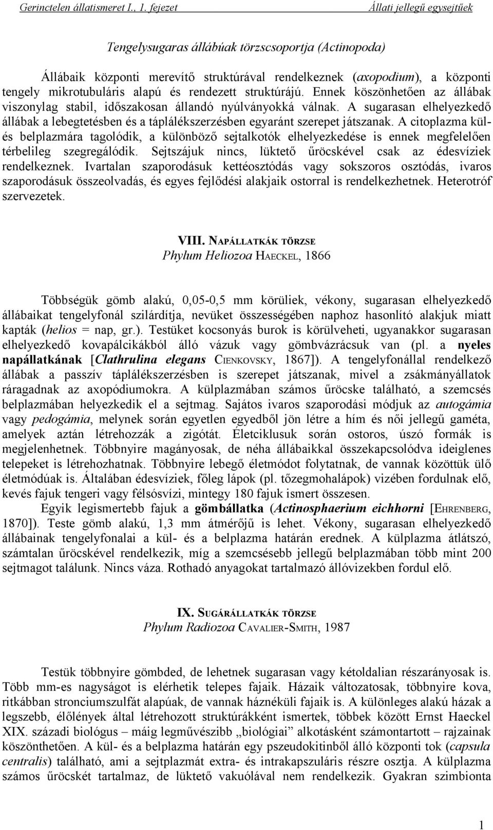 A citoplazma külés belplazmára tagolódik, a különböző sejtalkotók elhelyezkedése is ennek megfelelően térbelileg szegregálódik. Sejtszájuk nincs, lüktető űröcskével csak az édesvíziek rendelkeznek.