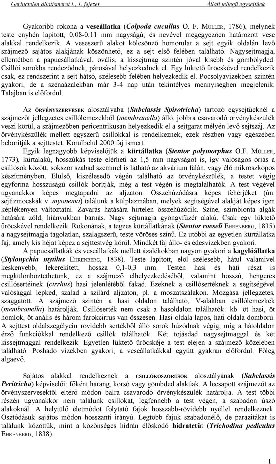 Nagysejtmagja, ellentétben a papucsállatkával, ovális, a kissejtmag szintén jóval kisebb és gömbölyded. Csillói sorokba rendeződnek, párosával helyezkednek el.