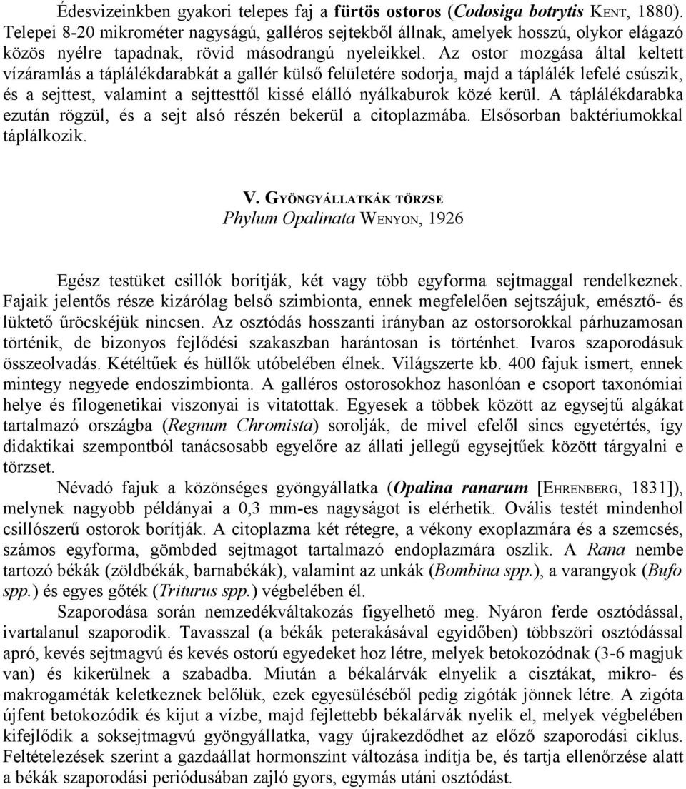 Az ostor mozgása által keltett vízáramlás a táplálékdarabkát a gallér külső felületére sodorja, majd a táplálék lefelé csúszik, és a sejttest, valamint a sejttesttől kissé elálló nyálkaburok közé