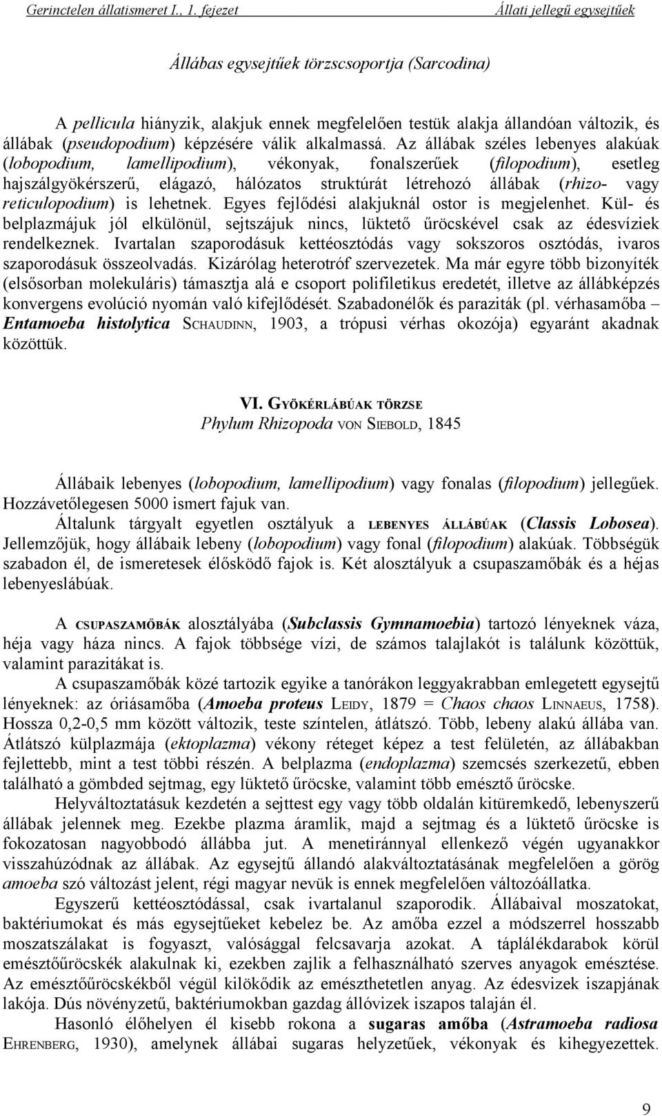 reticulopodium) is lehetnek. Egyes fejlődési alakjuknál ostor is megjelenhet. Kül- és belplazmájuk jól elkülönül, sejtszájuk nincs, lüktető űröcskével csak az édesvíziek rendelkeznek.