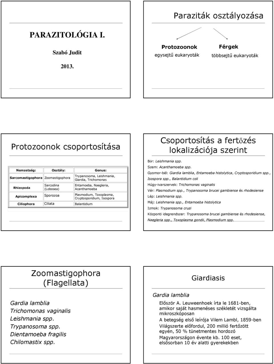(Lobosea) Sporozoa Ciliata Trypanosoma, Leishmania, Giardia, Trichomonas Entamoeba, Naegleria, Acanthamoeba Plasmodium, Toxoplasma, Cryptosporidium, Isospora Balantidium Csoportosítás a fertőzés