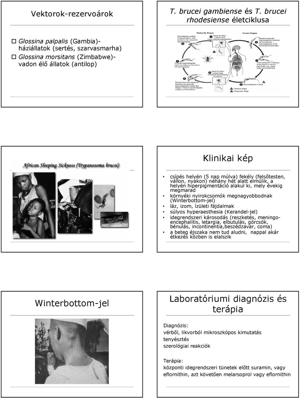 fekély (felsőtesten, vállon, nyakon) néhány hét alatt elmúlik, a helyén hiperpigmentáció alakul ki, mely évekig megmarad környéki nyirokcsomók megnagyobbodnak (Winterbottom-jel) láz, izom, ízületi