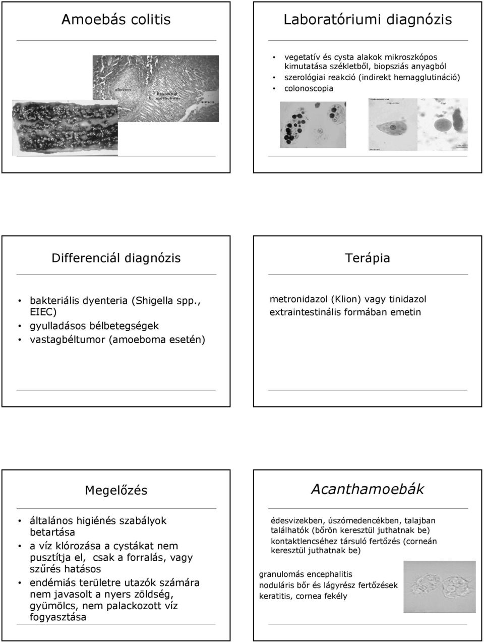 , EIEC) gyulladásos bélbetegségek vastagbéltumor (amoeboma esetén) metronidazol (Klion) vagy tinidazol extraintestinális formában emetin Megelőzés Acanthamoebák általános higiénés szabályok betartása