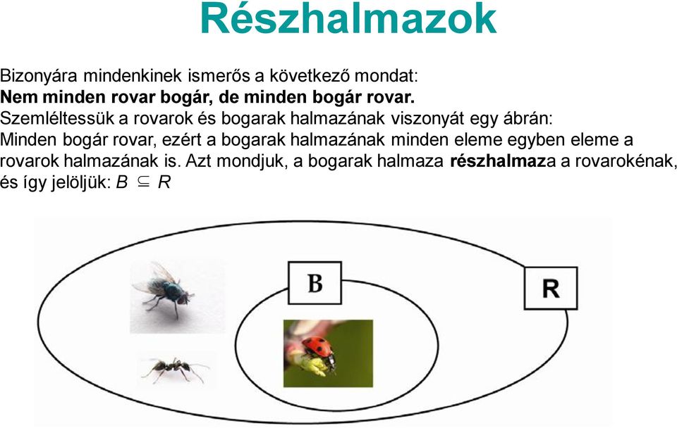 Szemléltessük a rovarok és bogarak halmazának viszonyát egy ábrán: Minden bogár rovar,