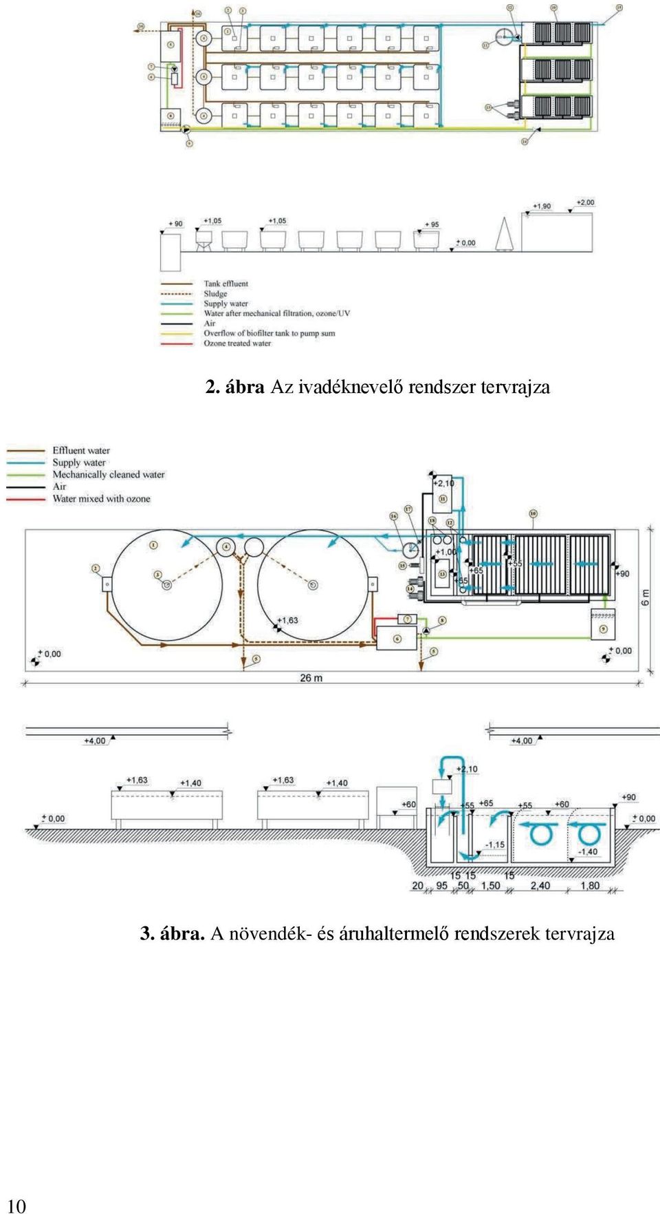 ábra. A növendék- és