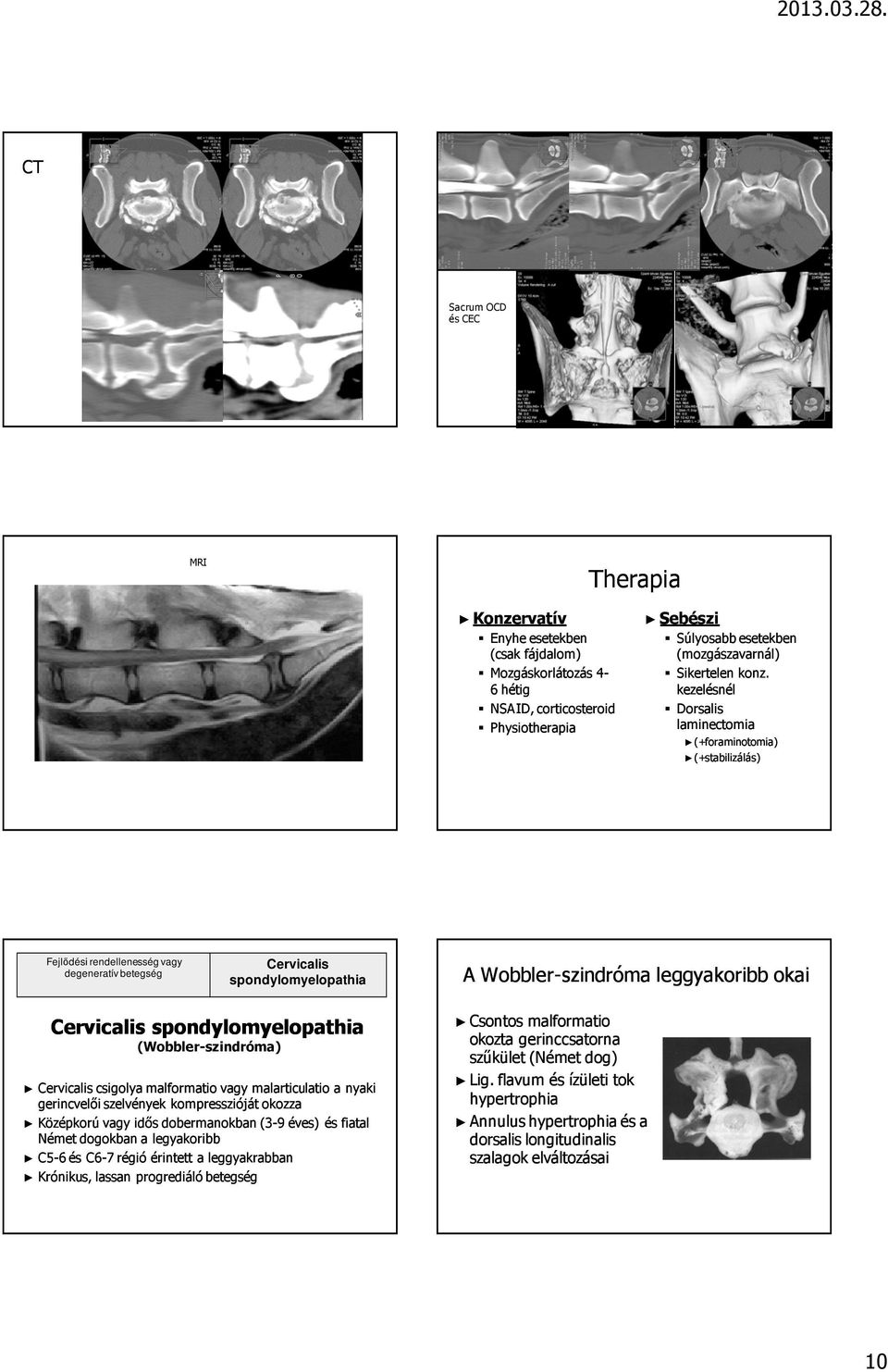 leggyakoribb okai Cervicalisis spondylomyelopathia (Wobbler-szindróma) Cervicalis is csigolya malformatio vagy malarticulatio a nyaki gerincvelıi szelvények kompresszióját okozza Középkorú vagy idıs