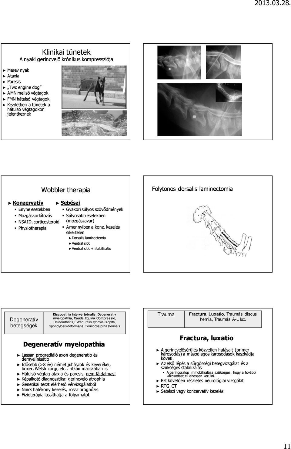 Physiotherapiaia Amennyiben a konz.