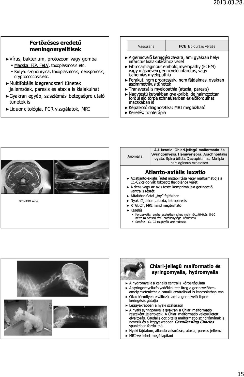 vérzés A gerincvelı keringési zavara, ami gyakran helyi infarctus kialakulásához vezet Fibrocartilaginous embolic myelopathy (FCEM) vagy másnéven gerincvelı infarctus, vagy ischemiás myelopathia