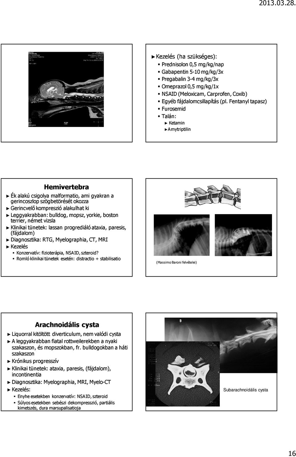 bulldog, mopsz, yorkie, boston terrier, német vizsla Klinikai tünetek: lassan progrediáló ataxia, paresis, (fájdalom) Diagnosztika: RTG, Myelographia ia, CT, MRI Kezelés Konzervatív: v: fizioterápia,