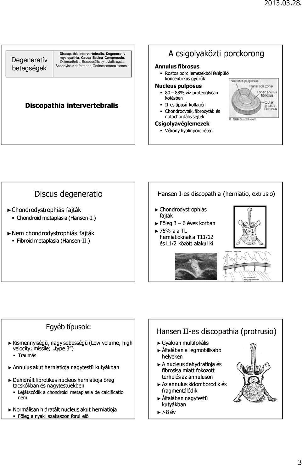 Chondrocyták, fibrocyták és notochordális sejtek Csigolyavéglemezek Vékony hyalinporc réteg Discus degeneratio Chondrodystrophiás fajták Chondroid metaplasia (Hansen-I.