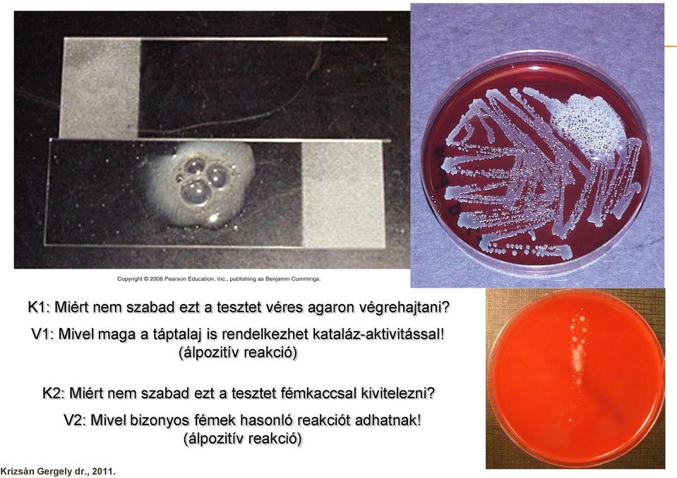 (álpozitív reakció) K2: Miért nem szabad ezt a tesztet fémkaccsal