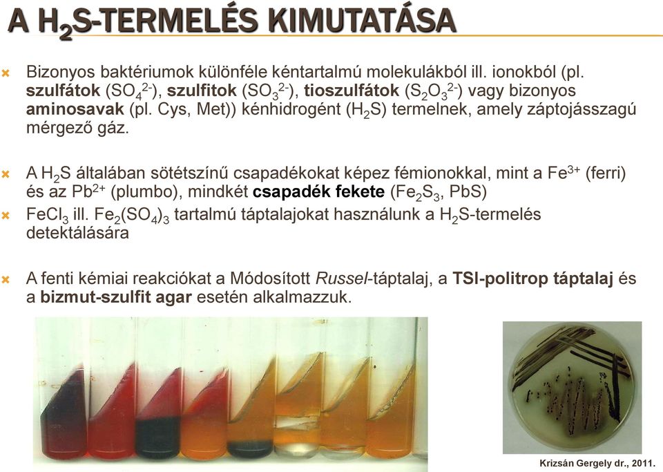 Cys, Met)) kénhidrogént (H 2 S) termelnek, amely záptojásszagú mérgező gáz.