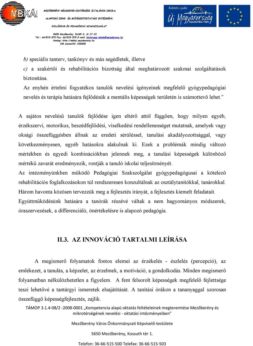 A sajátos nevelésű tanulók fejlődése igen eltérő attól függően, hogy milyen egyéb, érzékszervi, motorikus, beszédfejlődési, viselkedési rendellenességet mutatnak, amelyek vagy oksági összefüggésben