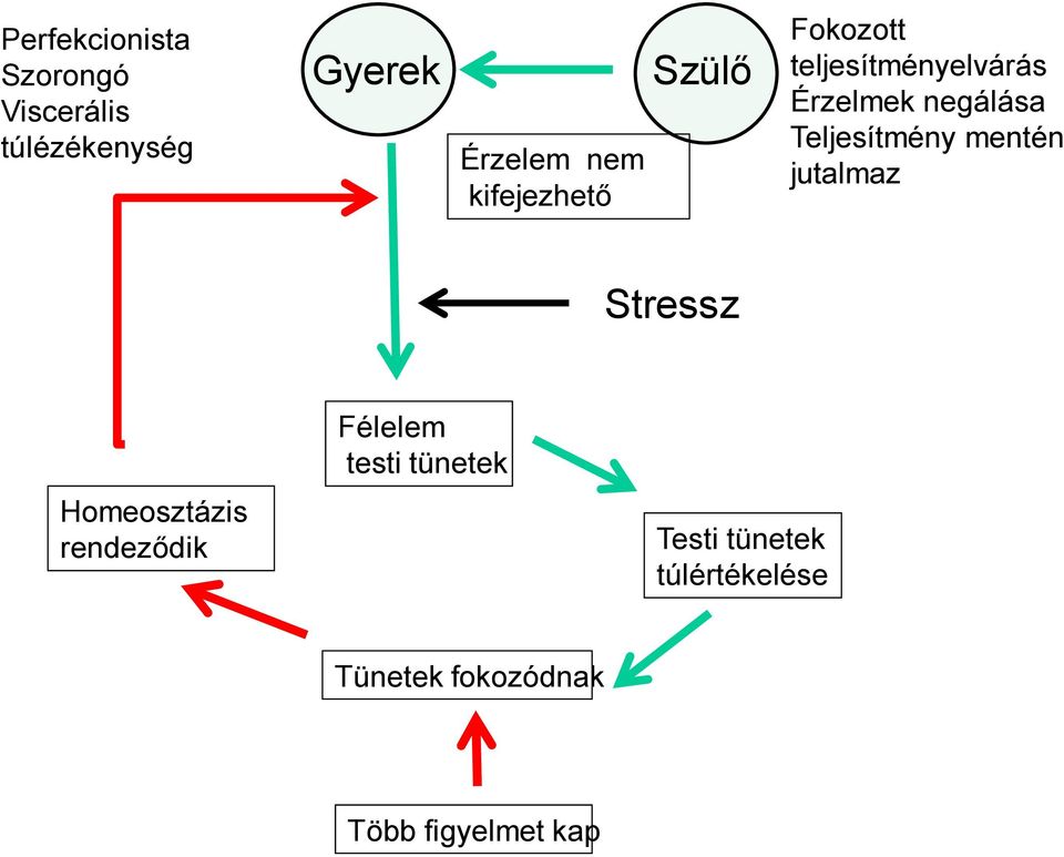 Teljesítmény mentén jutalmaz Stressz Homeosztázis rendeződik Félelem