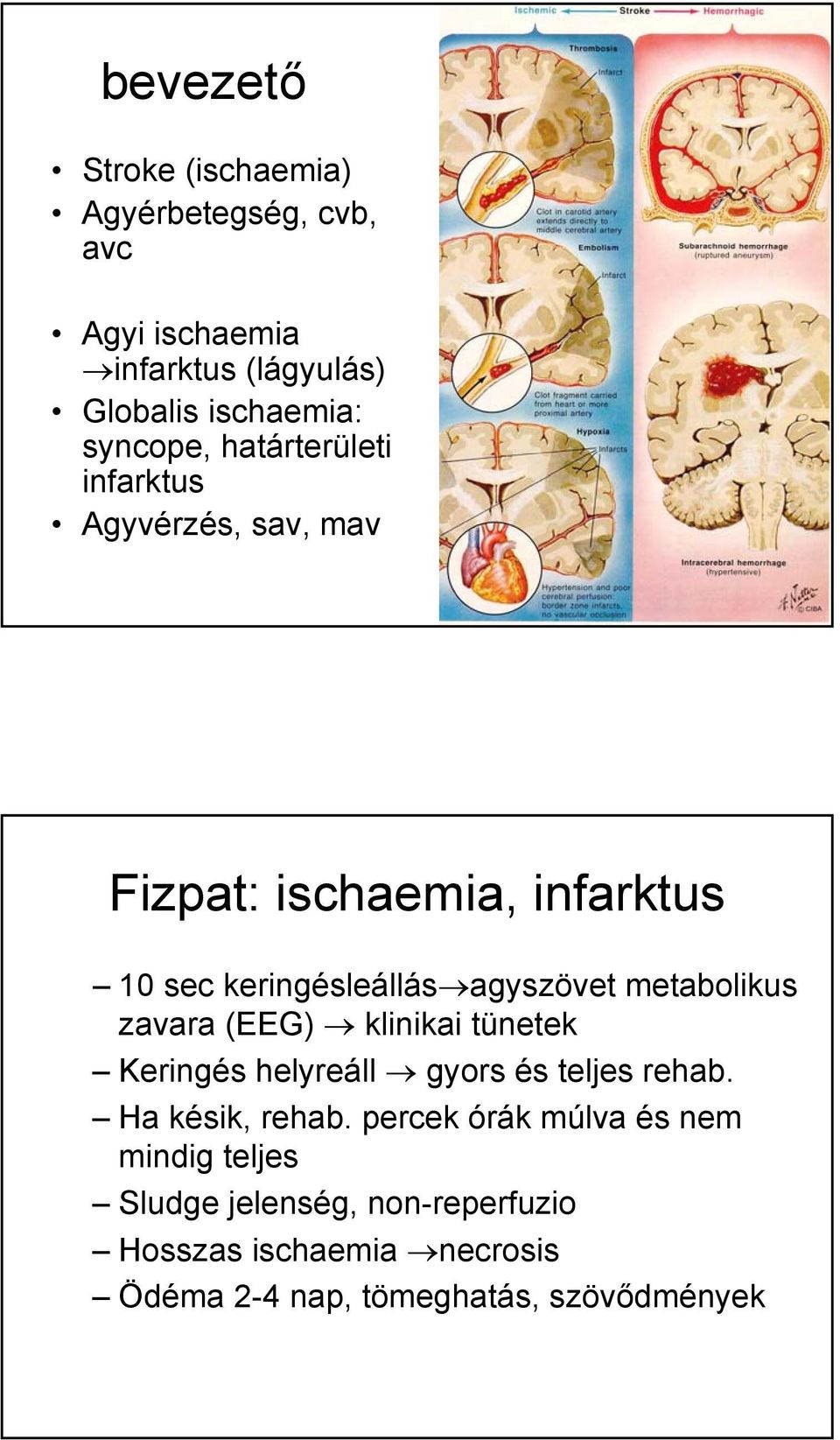 metabolikus zavara (EEG) klinikai tünetek Keringés helyreáll gyors és teljes rehab. Ha késik, rehab.