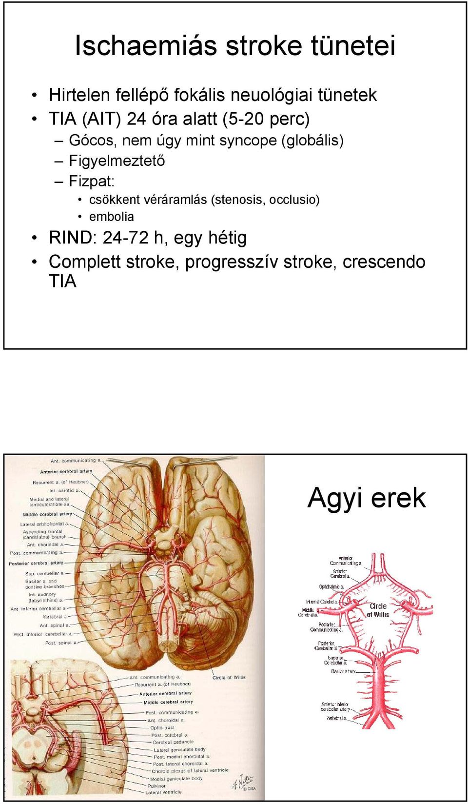 Figyelmeztető Fizpat: csökkent véráramlás (stenosis, occlusio) embolia