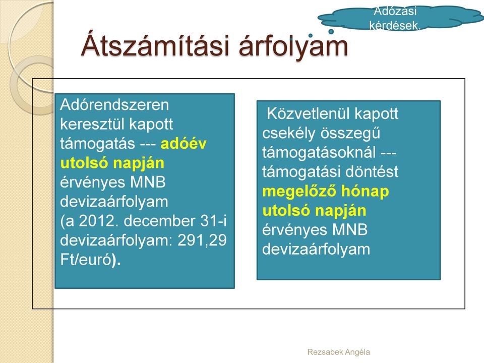 devizaárfolyam (a 2012. december 31-i devizaárfolyam: 291,29 Ft/euró).