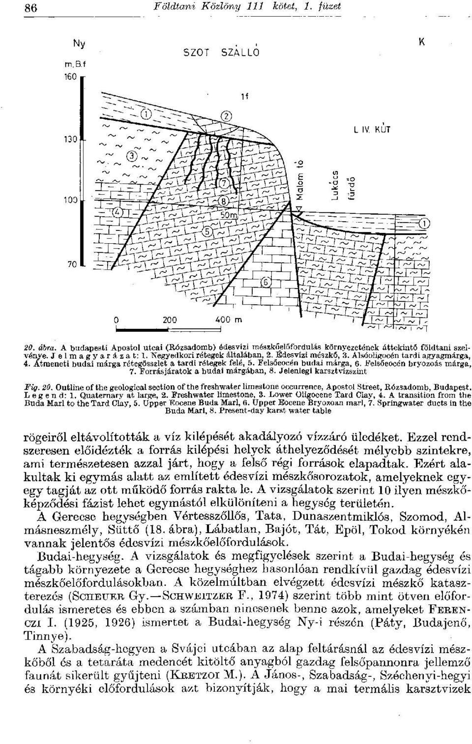 Felsőeocén bryozoás márga, 7. Forrásjáratok a budai márgában, 8. Jelenlegi karsztvízszint Fig. 20.