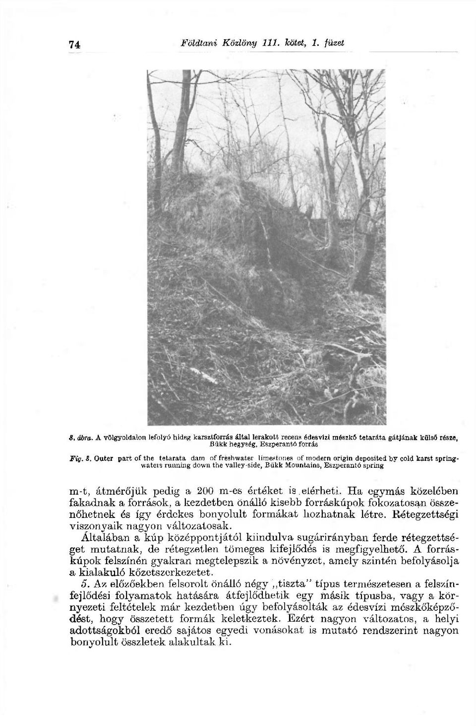 Outer part of the tetarata darn of freshwater limestones of modern origin deposited by cold karst springwaters running down the valley-side, Bükk Mountains, Eszperantó spring m-t, átmérőjük pedig a