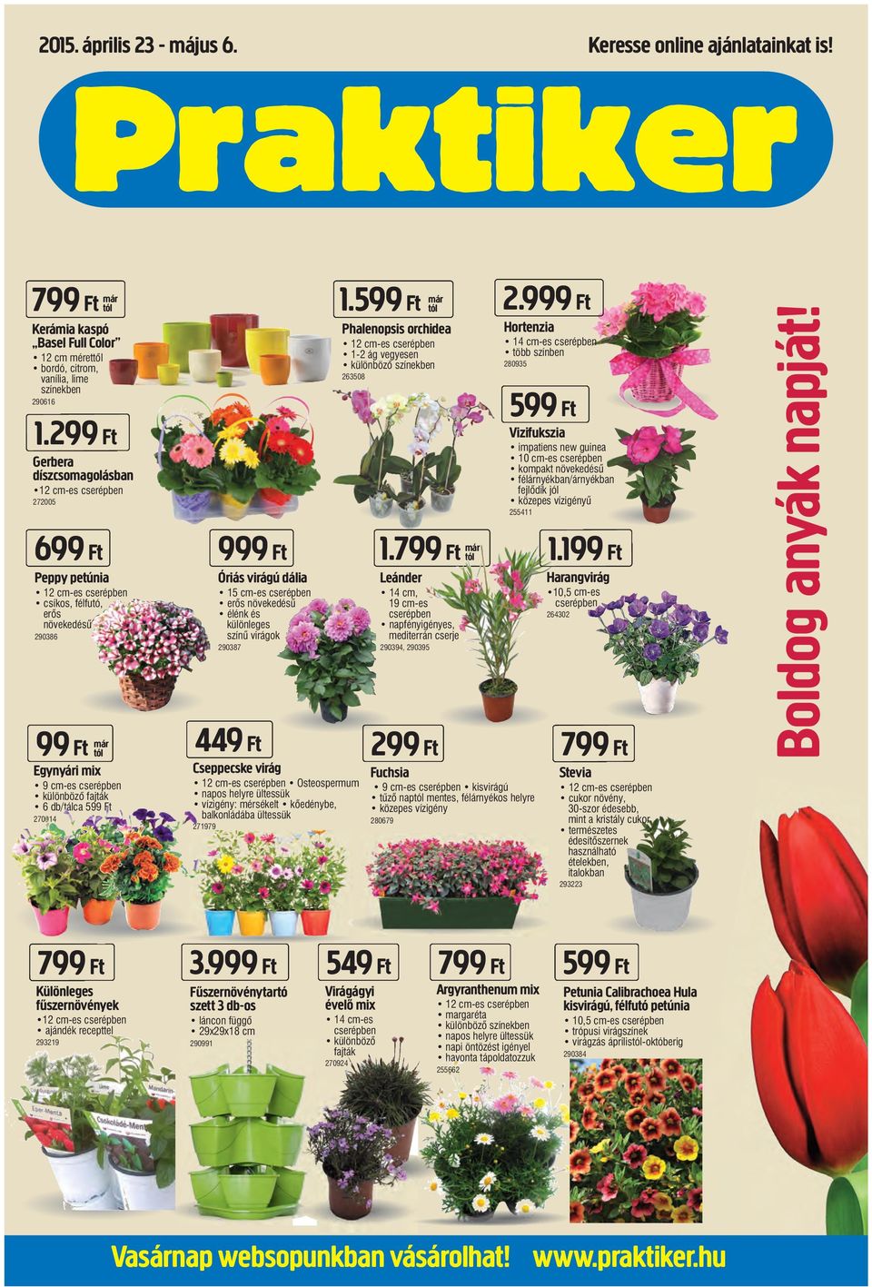 599 Ft 270014 999 Ft Óriás virágú dália 15 cm-es cserépben erős növekedésű élénk és különleges színű virágok 290387 1.
