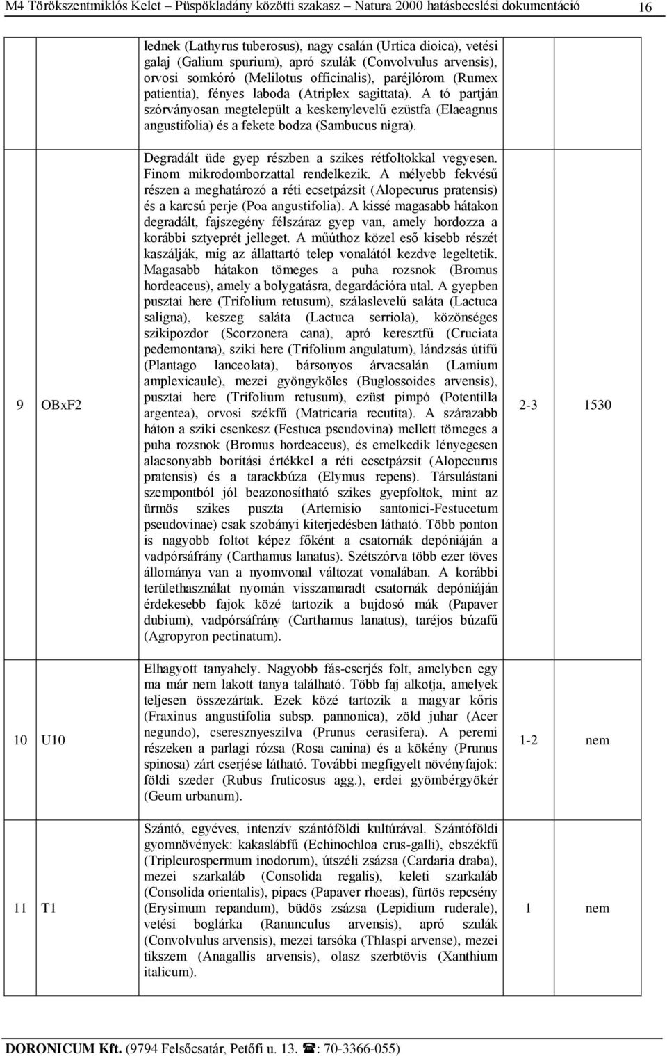 Degradált üde gyep részben a szikes rétfoltokkal vegyesen. Finom mikrodomborzattal rendelkezik.