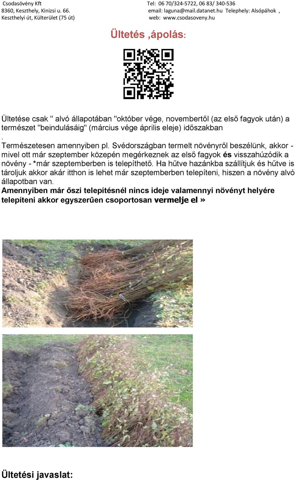 Svédországban termelt növényről beszélünk, akkor - mivel ott már szeptember közepén megérkeznek az első fagyok és visszahúzódik a növény - *már szeptemberben is