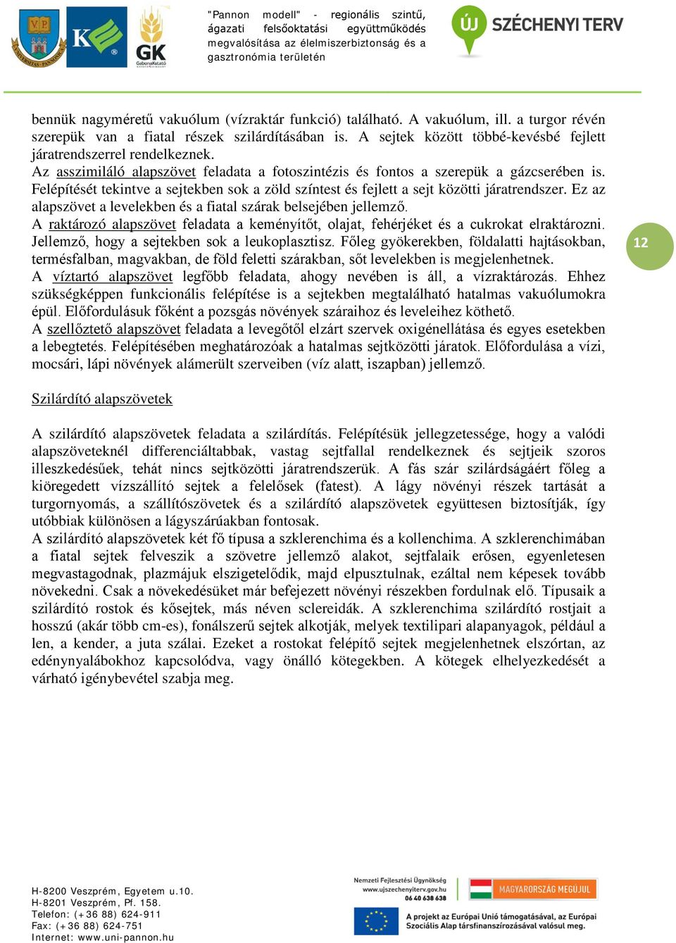 Felépítését tekintve a sejtekben sok a zöld színtest és fejlett a sejt közötti járatrendszer. Ez az alapszövet a levelekben és a fiatal szárak belsejében jellemző.