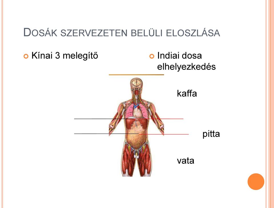 3 melegítő Indiai dosa