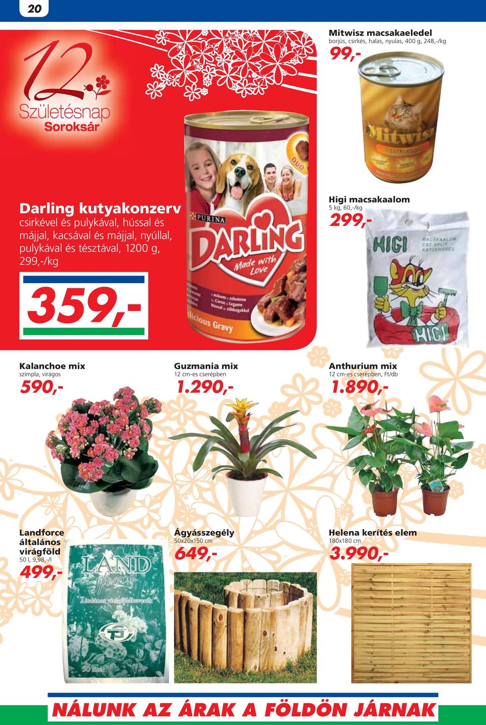 359,- Kalanchoe mix szimpla, virágos 590,- Guzmania mix 12 cm-es cserépben 1.290,- Anthurium mix 12 cm-es cserépben, Ft/db 1.